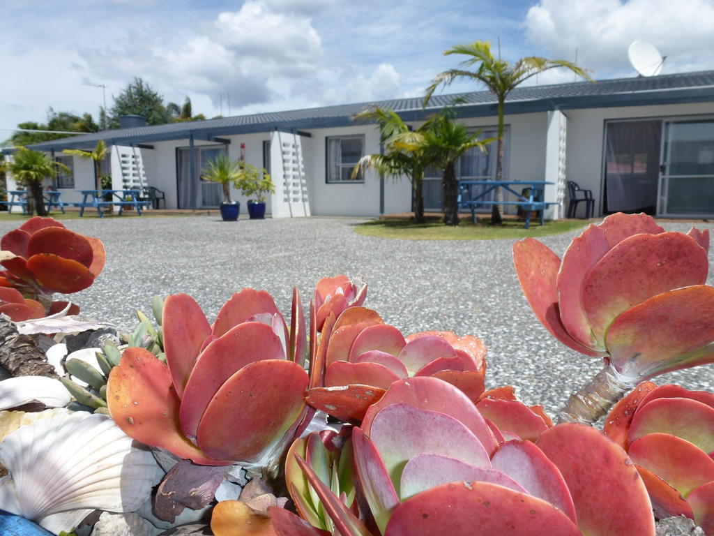 Mana-Nui Motel Whitianga Extérieur photo